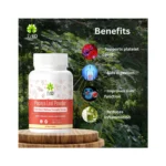Papaya Leaf Powder - Image 5