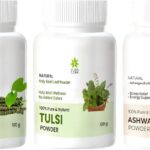 Ayurvedic Immunity & Wellness Combo Powder